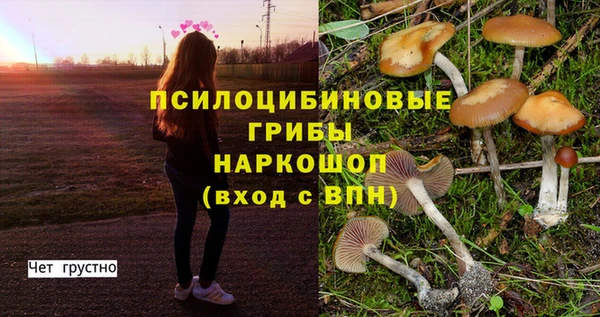 меф Козельск