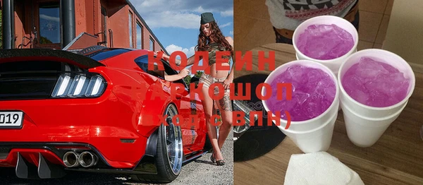 индика Киренск