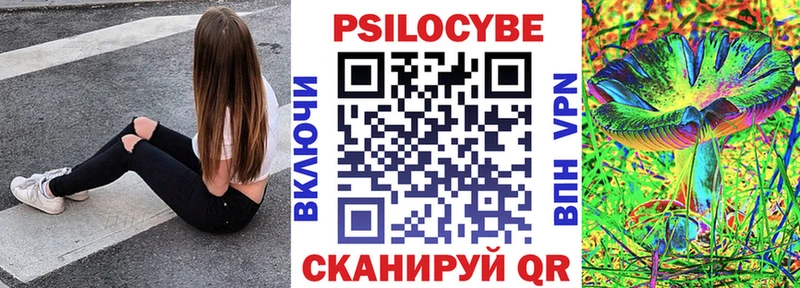 Купить закладки  Буйнакск  Псилоцибиновые грибы Magic Shrooms 
